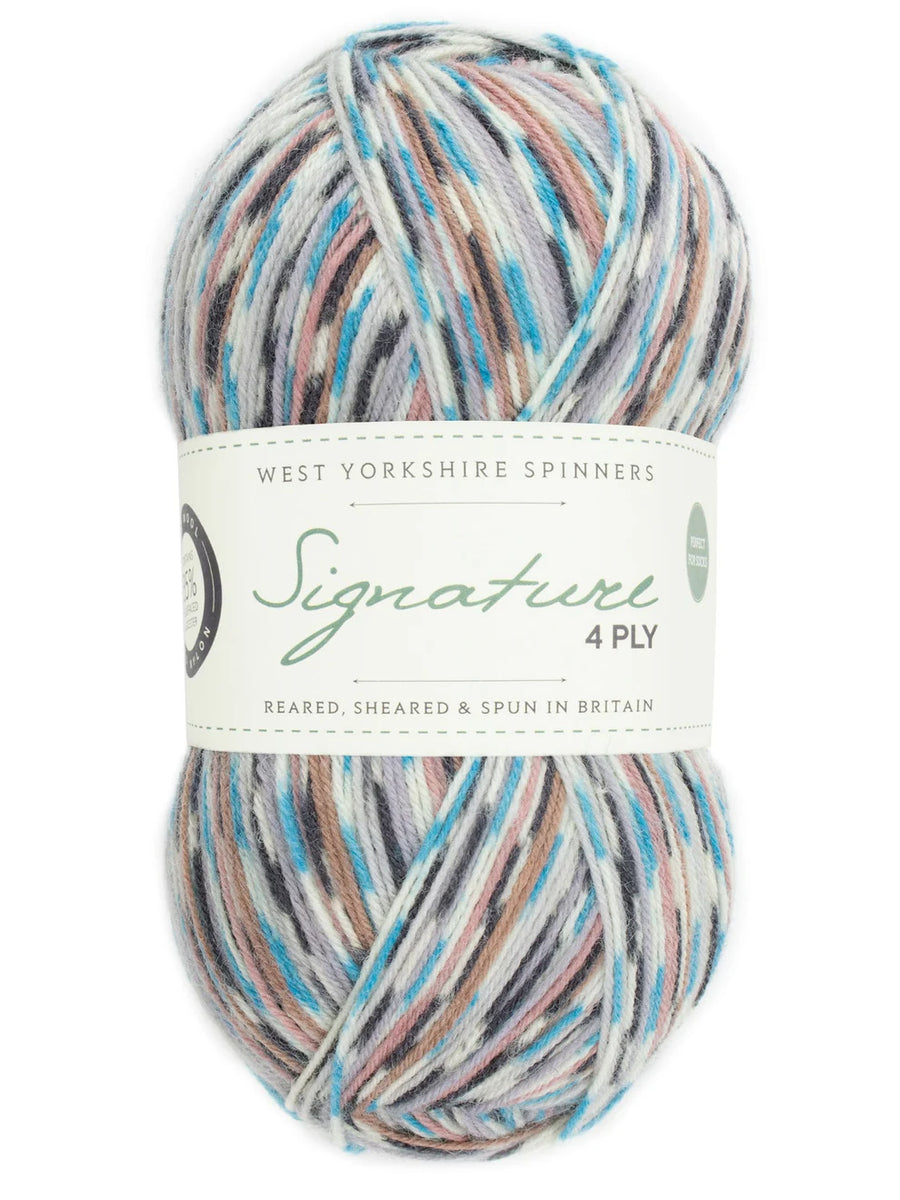 WYS Signature 4 Ply – Yarnbyrds, LLC
