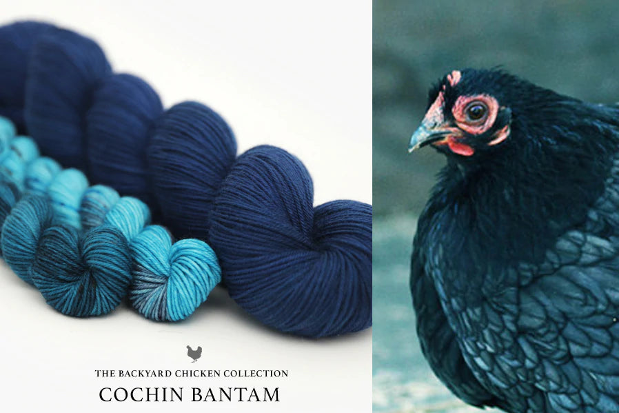 Hue Loco - Backyard Chicken/Rooster Collection