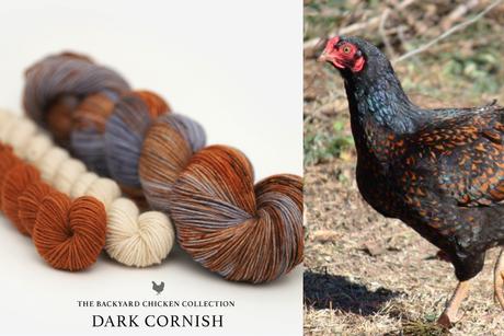 Hue Loco - Backyard Chicken/Rooster Collection