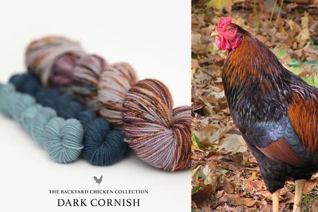 Hue Loco - Backyard Chicken/Rooster Collection