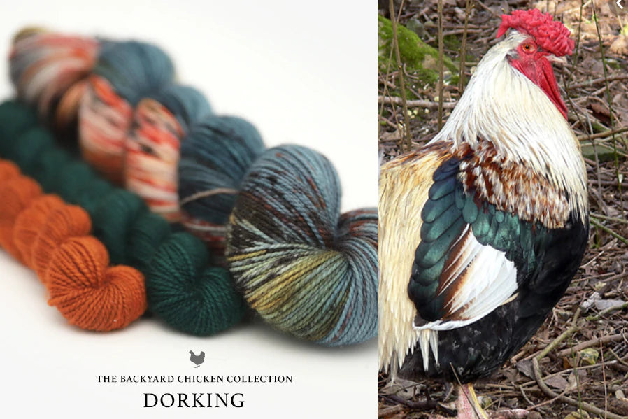 Hue Loco - Backyard Chicken/Rooster Collection